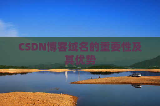 CSDN博客域名的重要性及其优势